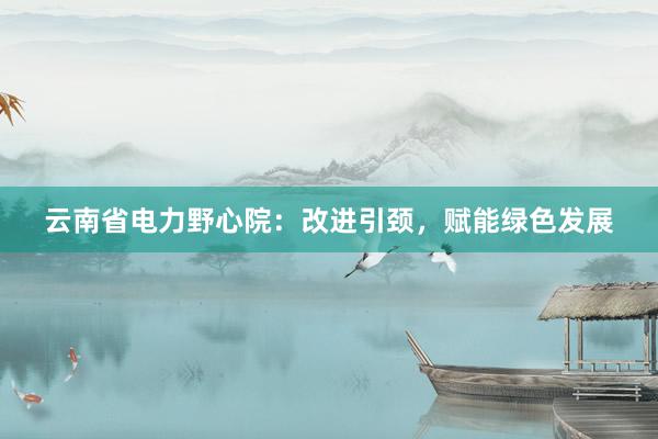 云南省电力野心院：改进引颈，赋能绿色发展