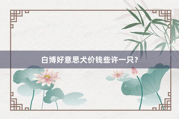 白博好意思犬价钱些许一只？