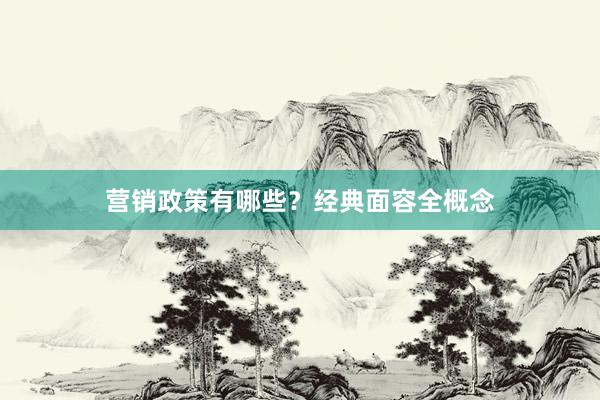 营销政策有哪些？经典面容全概念